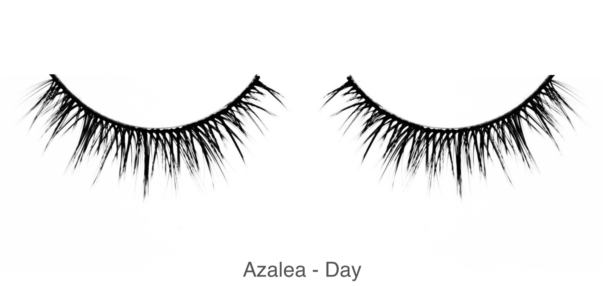 Azalea - Day