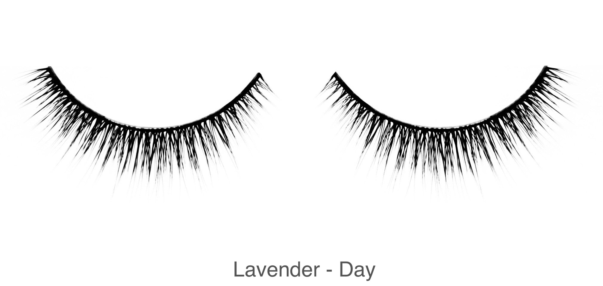 Lavender - Day