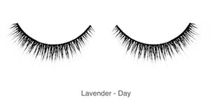 Lavender - Day