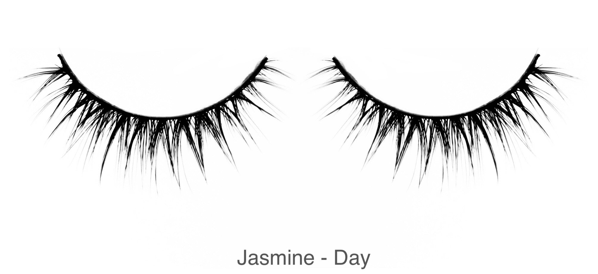 Jasmine - Day