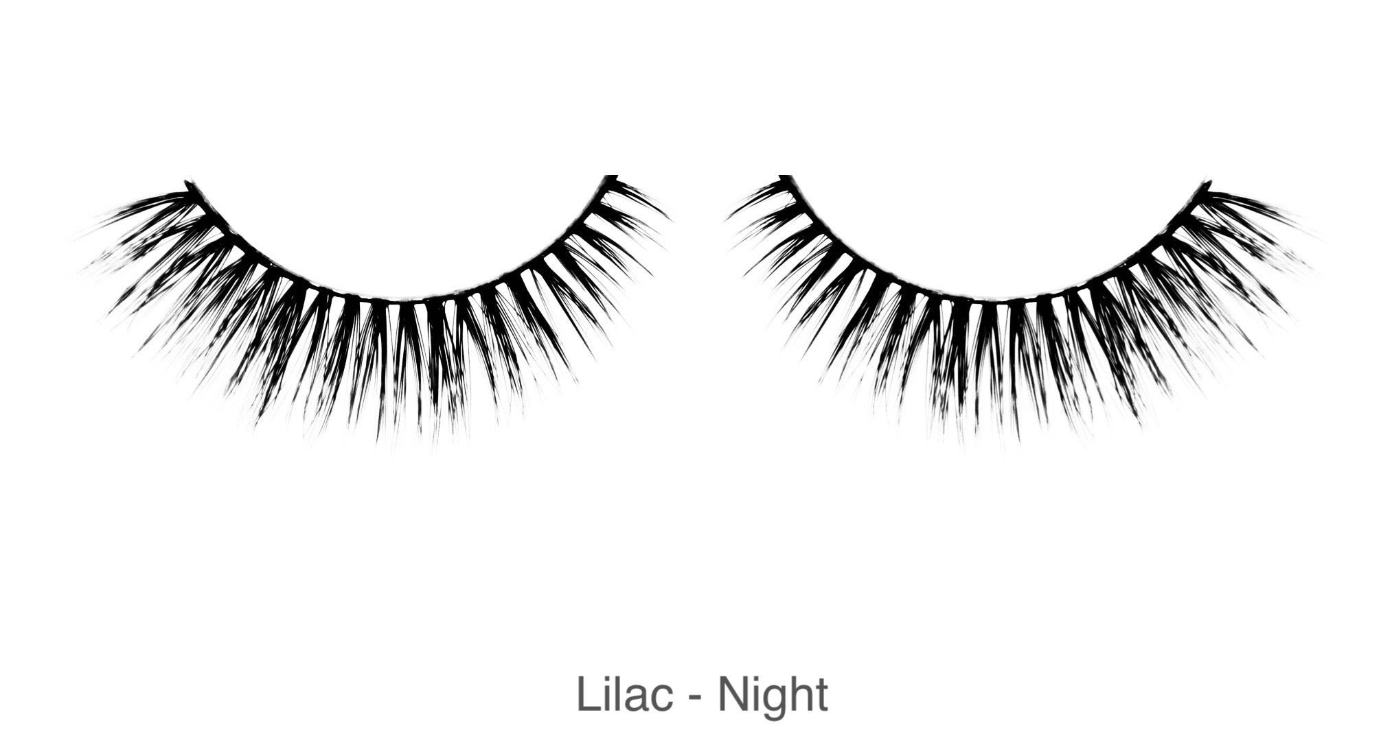 Lilac - Night
