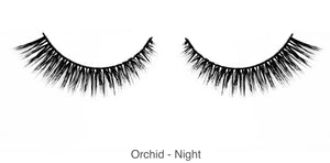Orchid - Night
