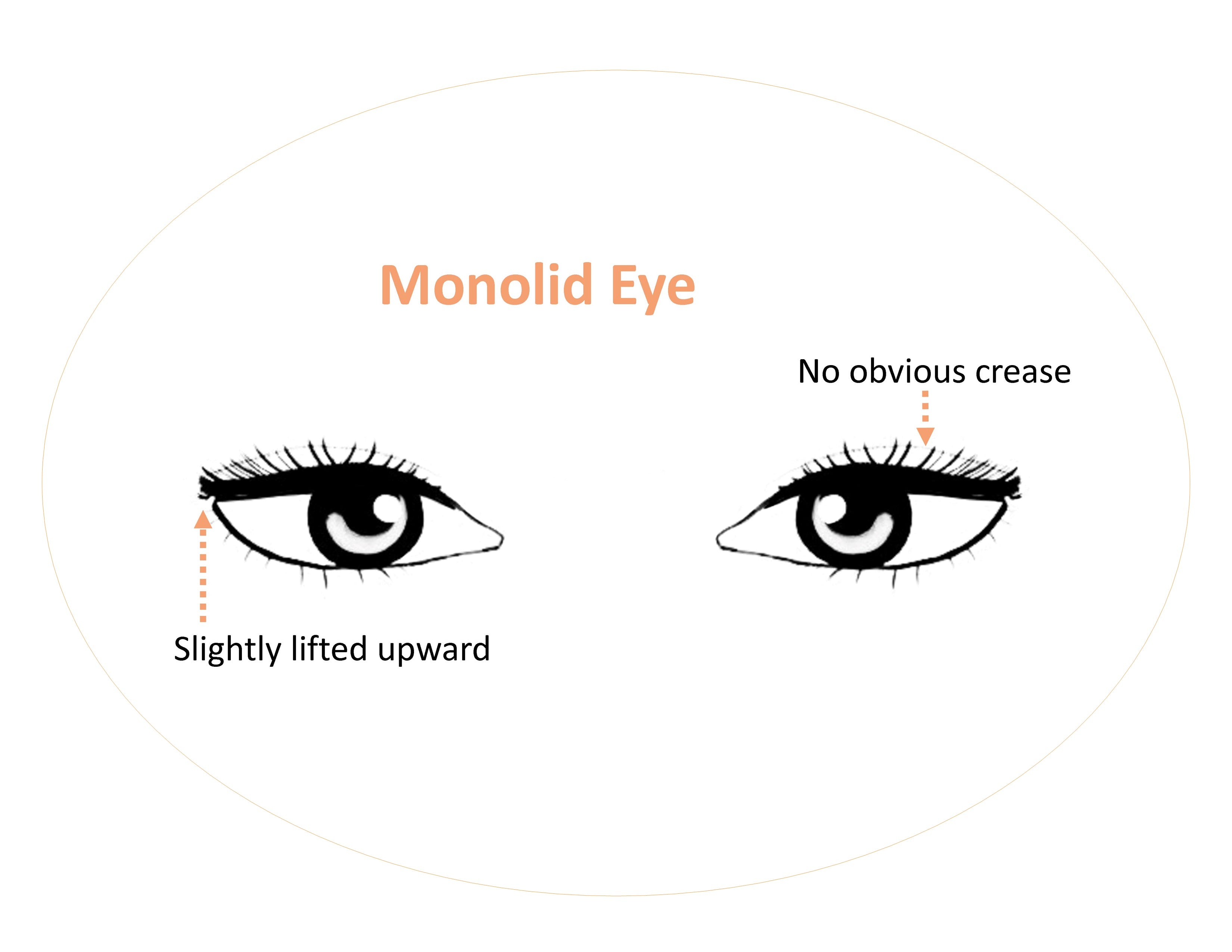 Monolid Eye Shape